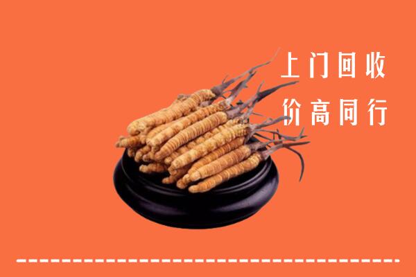 贞丰县回收冬虫夏草