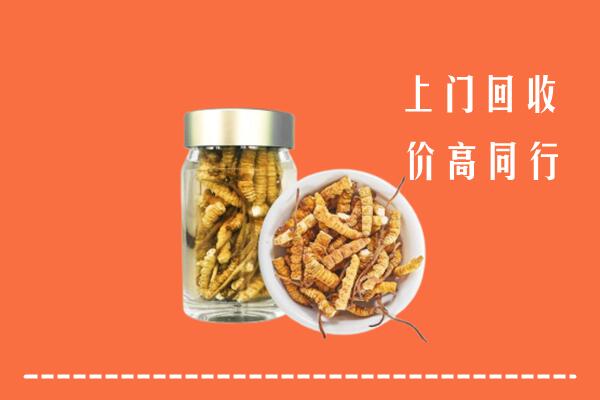 贞丰县回收冬虫夏草